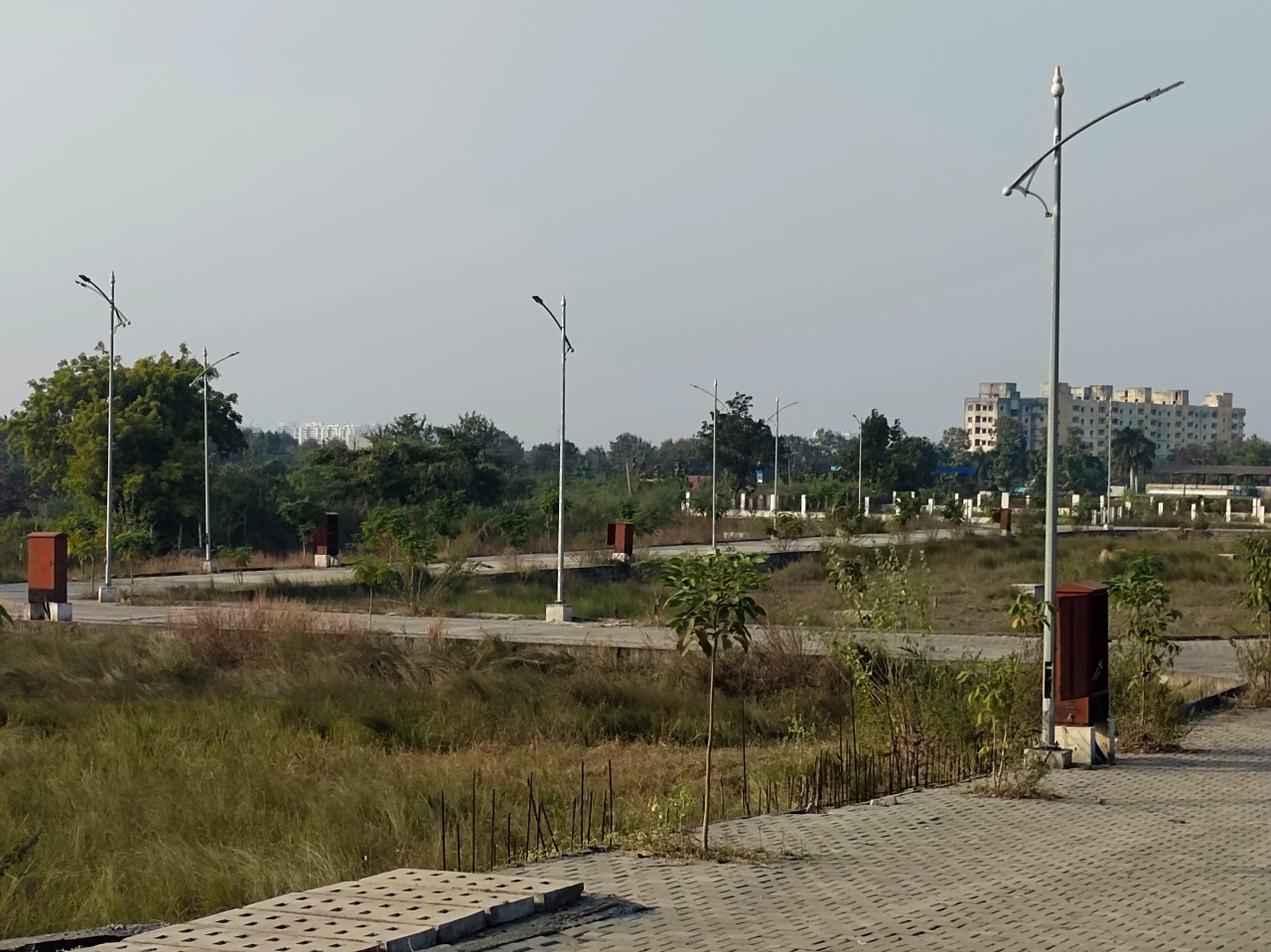 proj_img-50691_2